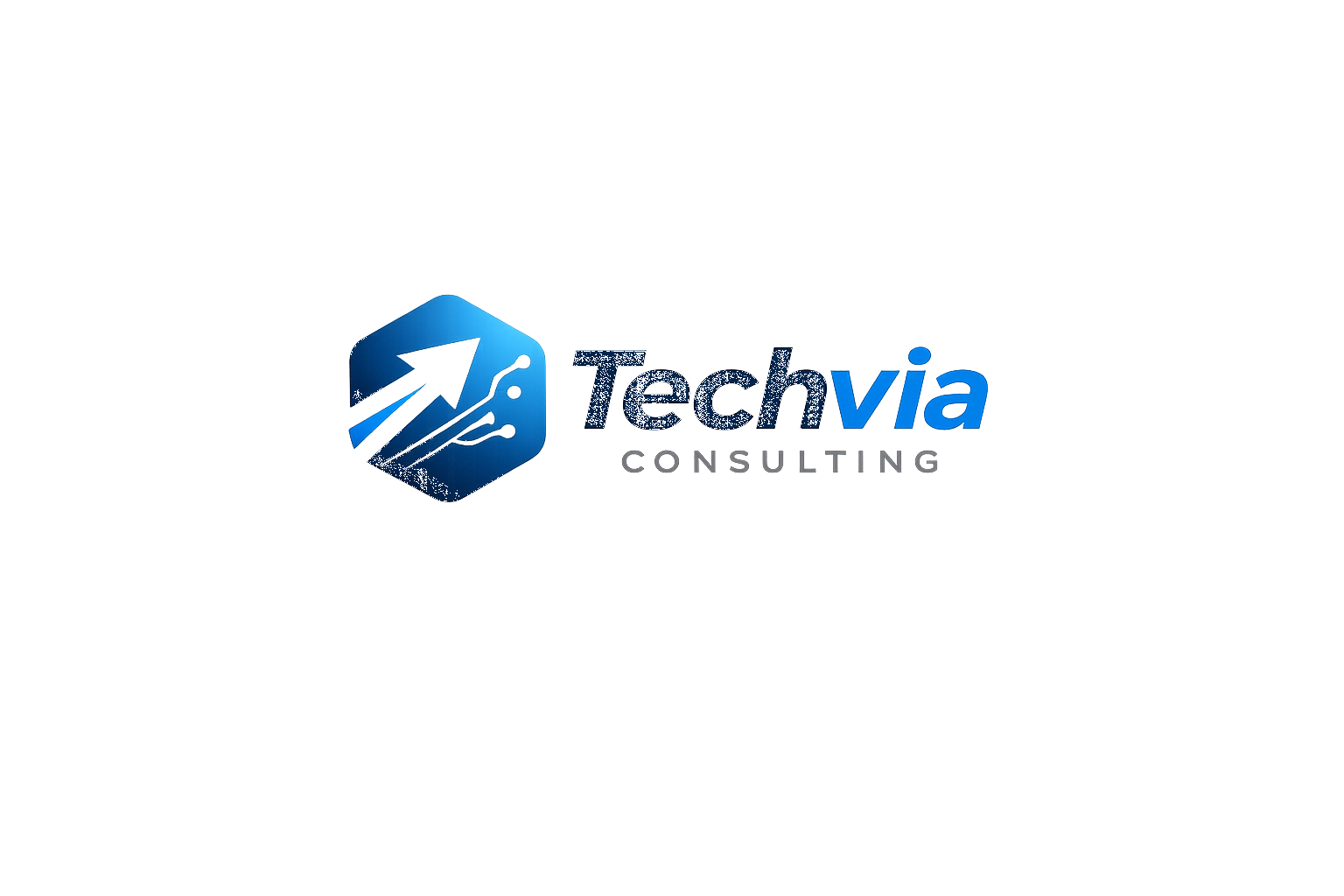 Techvia Consulting